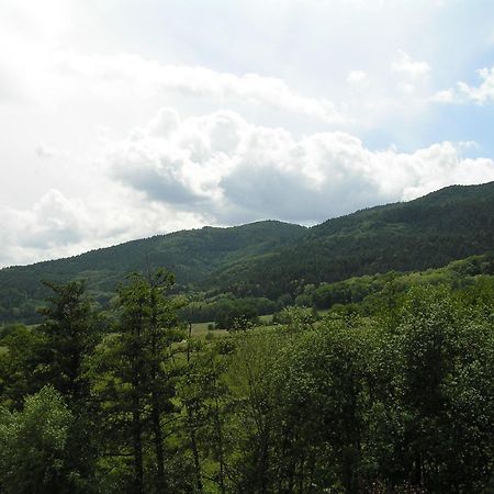 A L'Arbre Vert Wintzfelden Dış mekan fotoğraf
