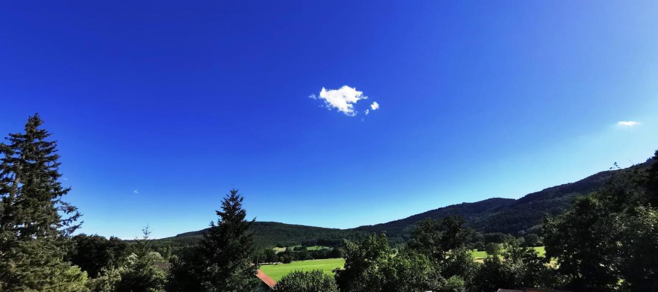 A L'Arbre Vert Wintzfelden Dış mekan fotoğraf