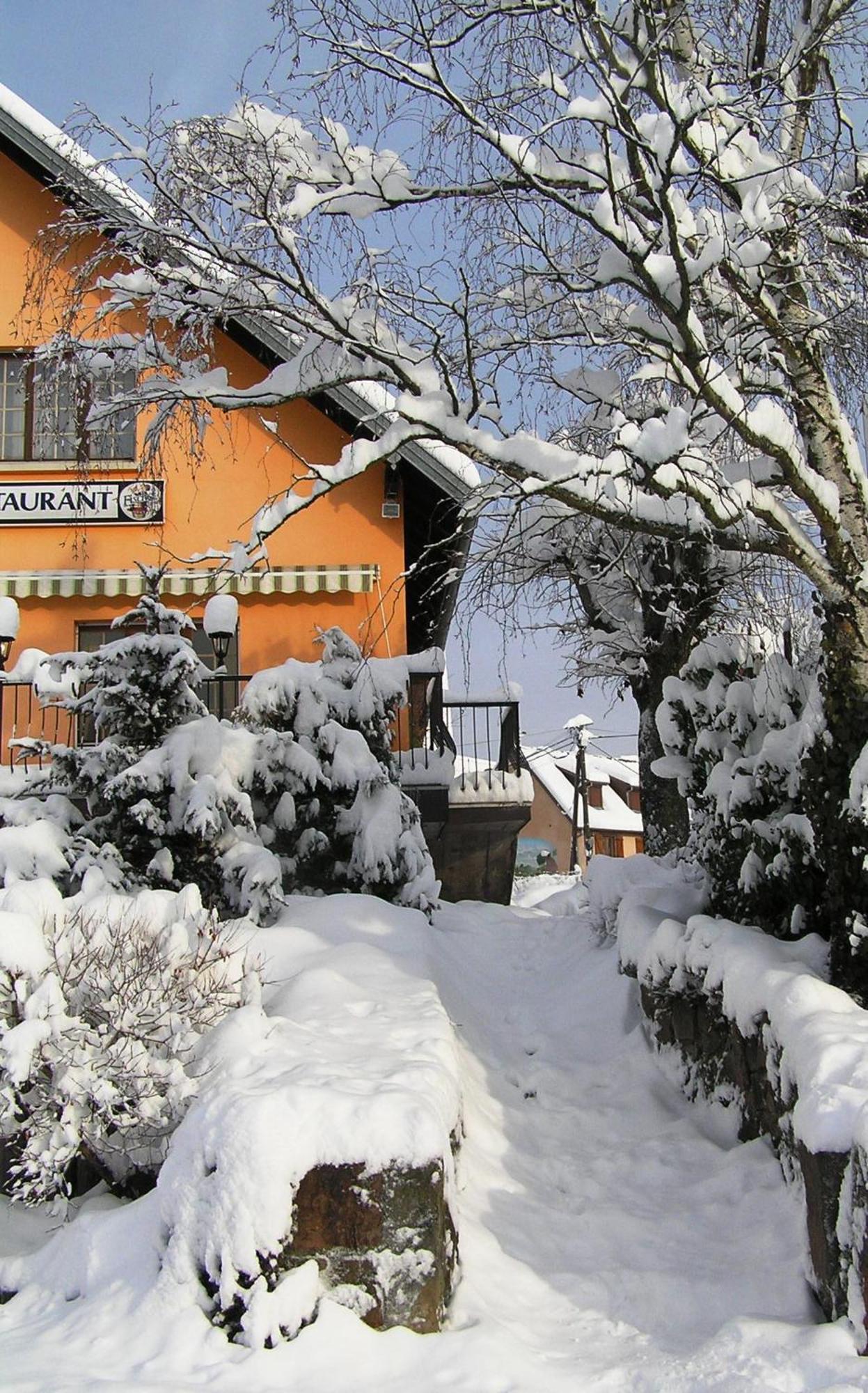 A L'Arbre Vert Wintzfelden Dış mekan fotoğraf